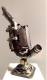 Artistes Peitrequin Timoth�e