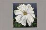 Peinture